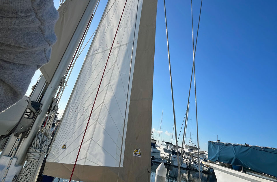 'Bijou', Hylas 46, staysail