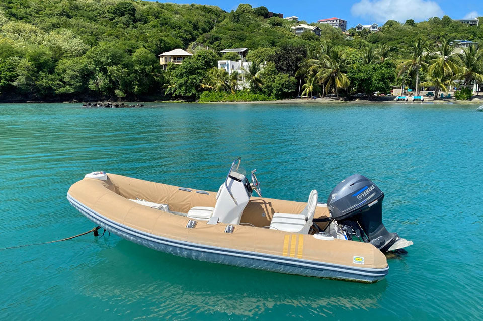 'Torvin', A Lagoon 500, tender